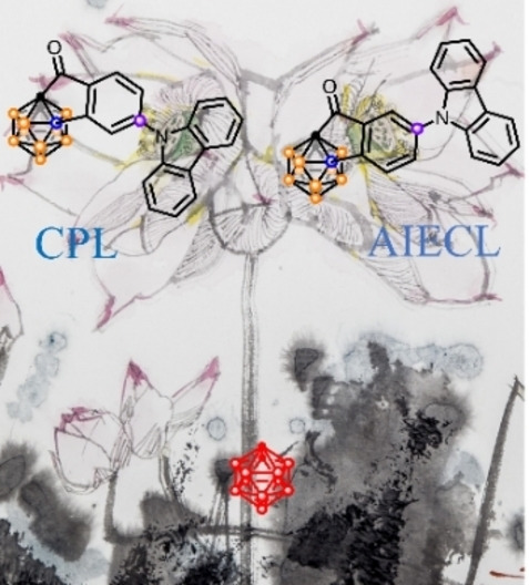 Chiral-at-Cage Carboranes for Circularly Polarized Luminescence and Aggregation-Induced Electrochemiluminescence