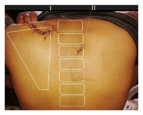 Details are in the caption following the image Details are in the caption following the image