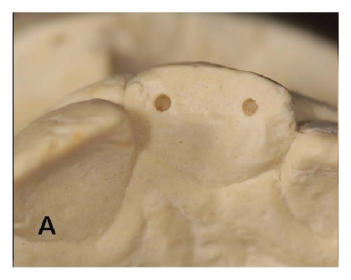 Details are in the caption following the image