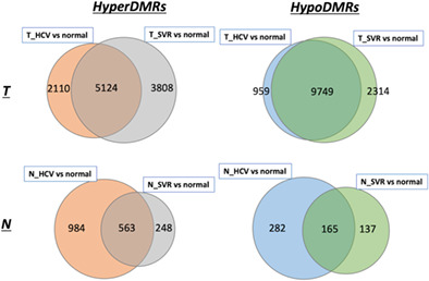 Persistent epigenetic alterations in transcription factors after a sustained virological response in hepatocellular carcinoma