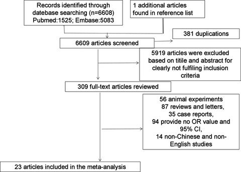 Bacterial, viral, and fungal infection-related risk of Parkinson's disease: Meta-analysis of cohort and case–control studies