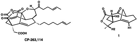 A Novel Approach to the CP-225,917 and CP-263,114 Core