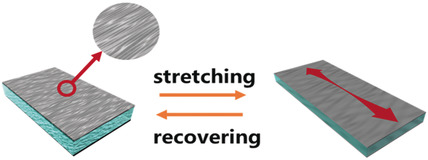 A Highly Elastic and Reversibly Stretchable All-Polymer Supercapacitor