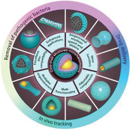 Core-Shell Structured Micro-Nanomotors: Construction, Shell Functionalization, Applications, and Perspectives