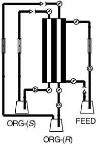 Recent Advances in Chiral Resolution through Membrane-Based Approaches
