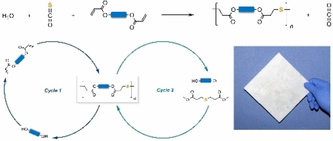 Chemically Recyclable Polyethylene-like Sulfur-Containing Plastics from Sustainable Feedstocks