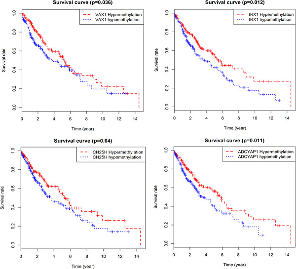 Prognostic value of aberrantly expressed methylation gene profiles in lung squamous cell carcinoma: A study based on The Cancer Genome Atlas