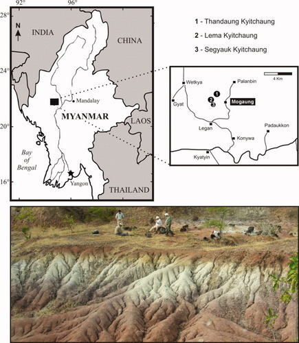 Details are in the caption following the image Details are in the caption following the image