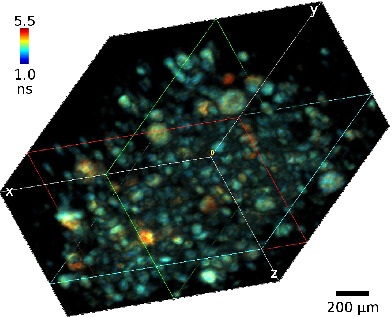 Lightsheet fluorescence lifetime imaging microscopy with wide-field time-correlated single photon counting