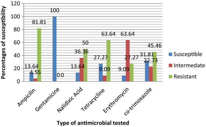 Escherichia coli O157:H7 beef carcass contamination and its antibiotic resistance in Awi Zone, Northwest Ethiopia