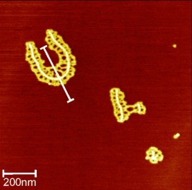 A Covalent-Chemistry Approach to Giant Macromolecules and Their Wetting Behavior on Solid Substrates