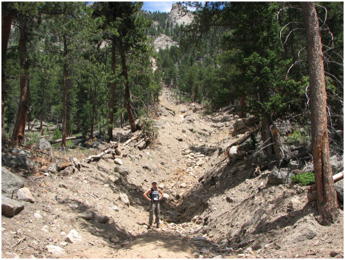 Patterns of debris flow initiation and periglacial sediment sourcing in the Colorado Front Range