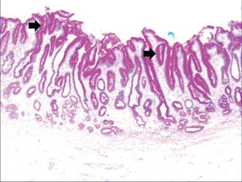 Details are in the caption following the image Details are in the caption following the image