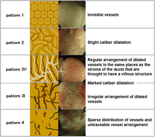 Details are in the caption following the image Details are in the caption following the image