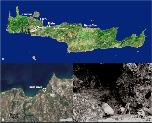 Details are in the caption following the image Details are in the caption following the image