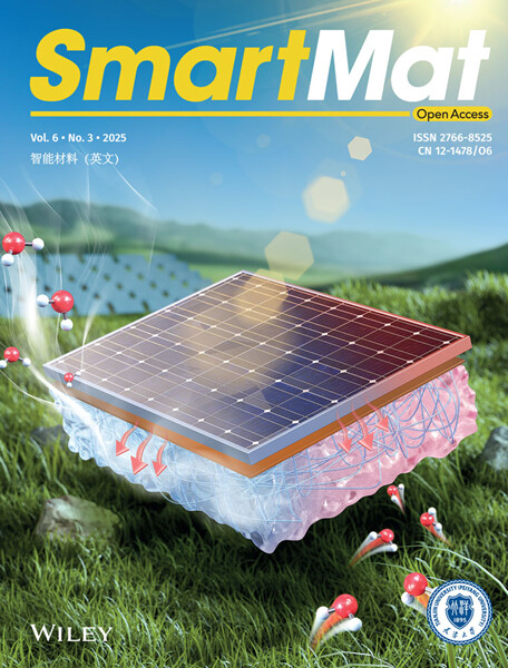 Outside Front Cover: Volume 6 Issue 3 Issue 3, 2025