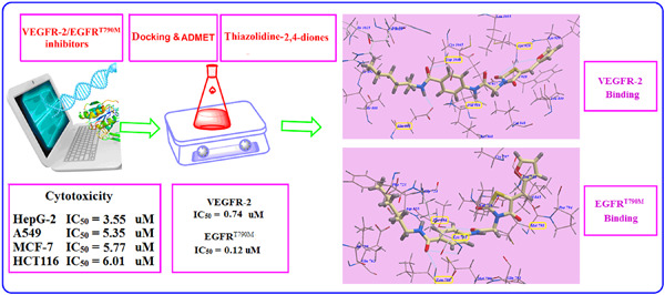 Exploration of thiazolidine-2,4-diones as tyrosine kinase inhibitors: Design, synthesis, ADMET, docking, and antiproliferative evaluations