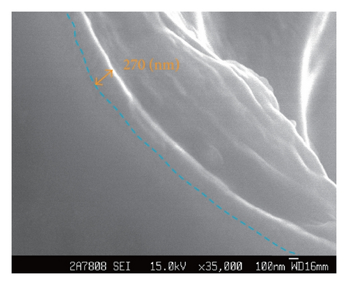 Details are in the caption following the image