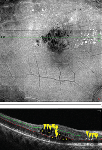 Details are in the caption following the image Details are in the caption following the image