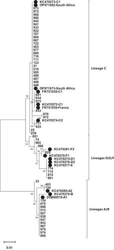 Details are in the caption following the image
