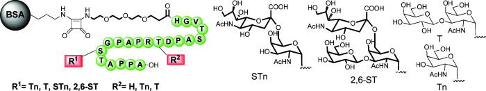 Variation of the Glycosylation Pattern in MUC1 Glycopeptide BSA Vaccines and Its Influence on the Immune Response