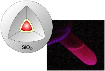 Single Quantum Dots in Spherical Silica Particles