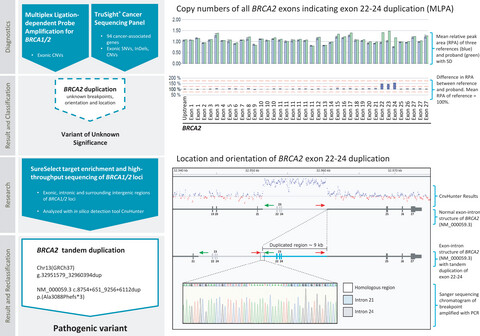 From a variant of unknown significance to pathogenic: Reclassification of a large novel duplication in BRCA2 by high-throughput sequencing