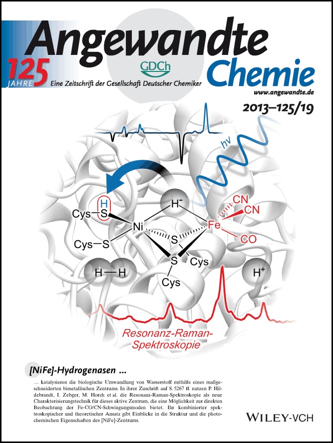 Rücktitelbild: Resonanz-Raman-Spektroskopie als Methode zur Untersuchung des aktiven Zentrums von Hydrogenasen (Angew. Chem. 19/2013)