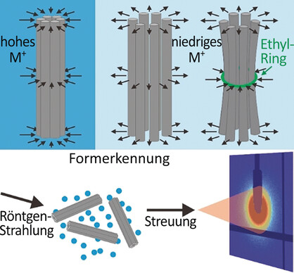 Charge Neutralization Drives the Shape Reconfiguration of DNA Nanotubes