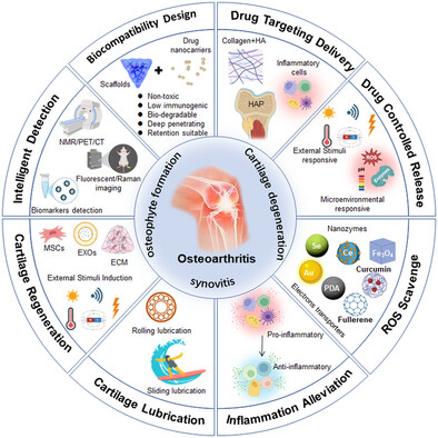 Intelligent Nanomaterials Design for Osteoarthritis Managements