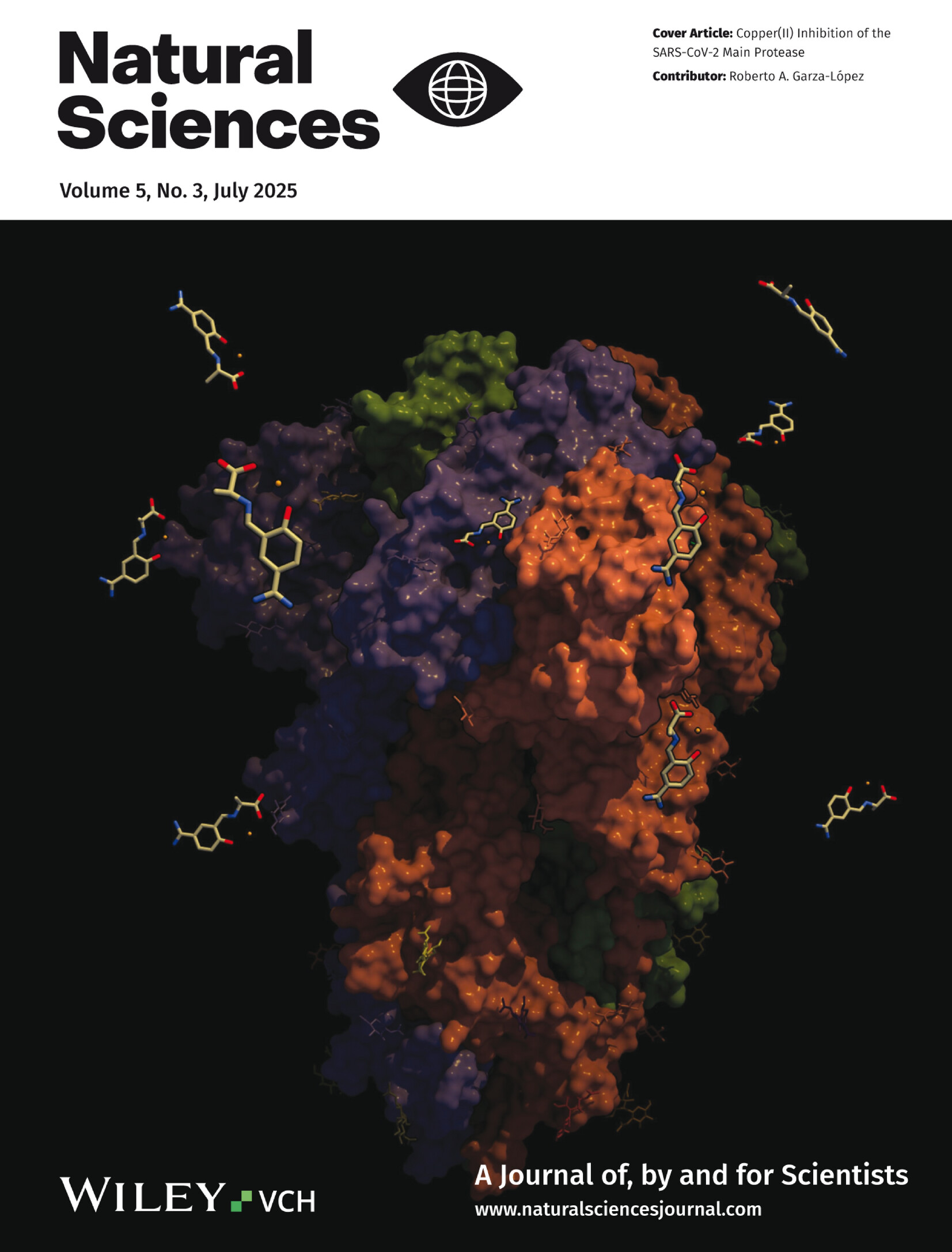 Front Cover: Copper(II) Inhibition of the SARS-CoV-2 Main Protease Volume 5 Issue 3, 2025