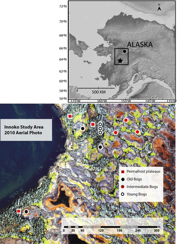 Details are in the caption following the image Details are in the caption following the image