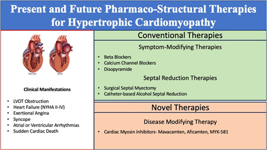 A systematic review of present and future pharmaco-structural therapies for hypertrophic cardiomyopathy