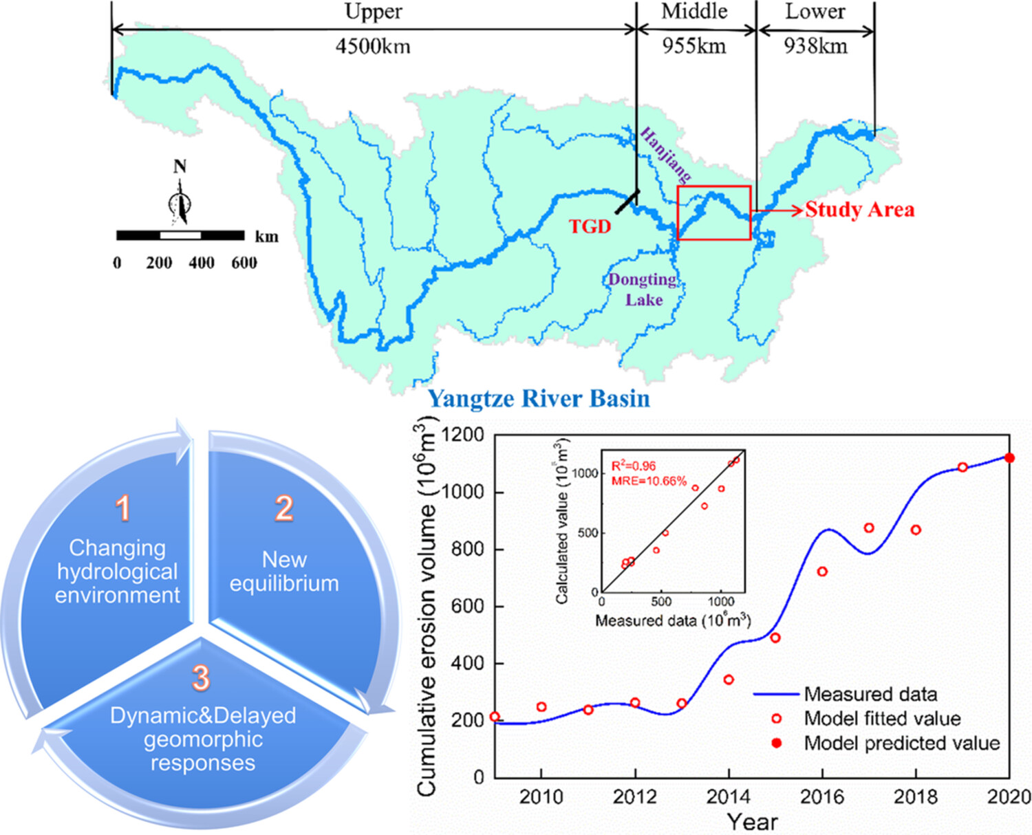 Dynamic and delayed channel geomorphic responses to changing hydrological processes following the Three Gorges Dam operation