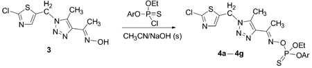 Synthesis and Biological Activities of Novel Thiophosphoryl Oximates Containing Thiazole and 1,2,3-Triazole Rings