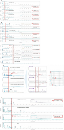Details are in the caption following the image Details are in the caption following the image