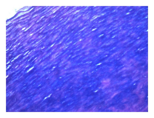 Details are in the caption following the image