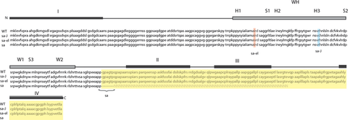 Details are in the caption following the image Details are in the caption following the image