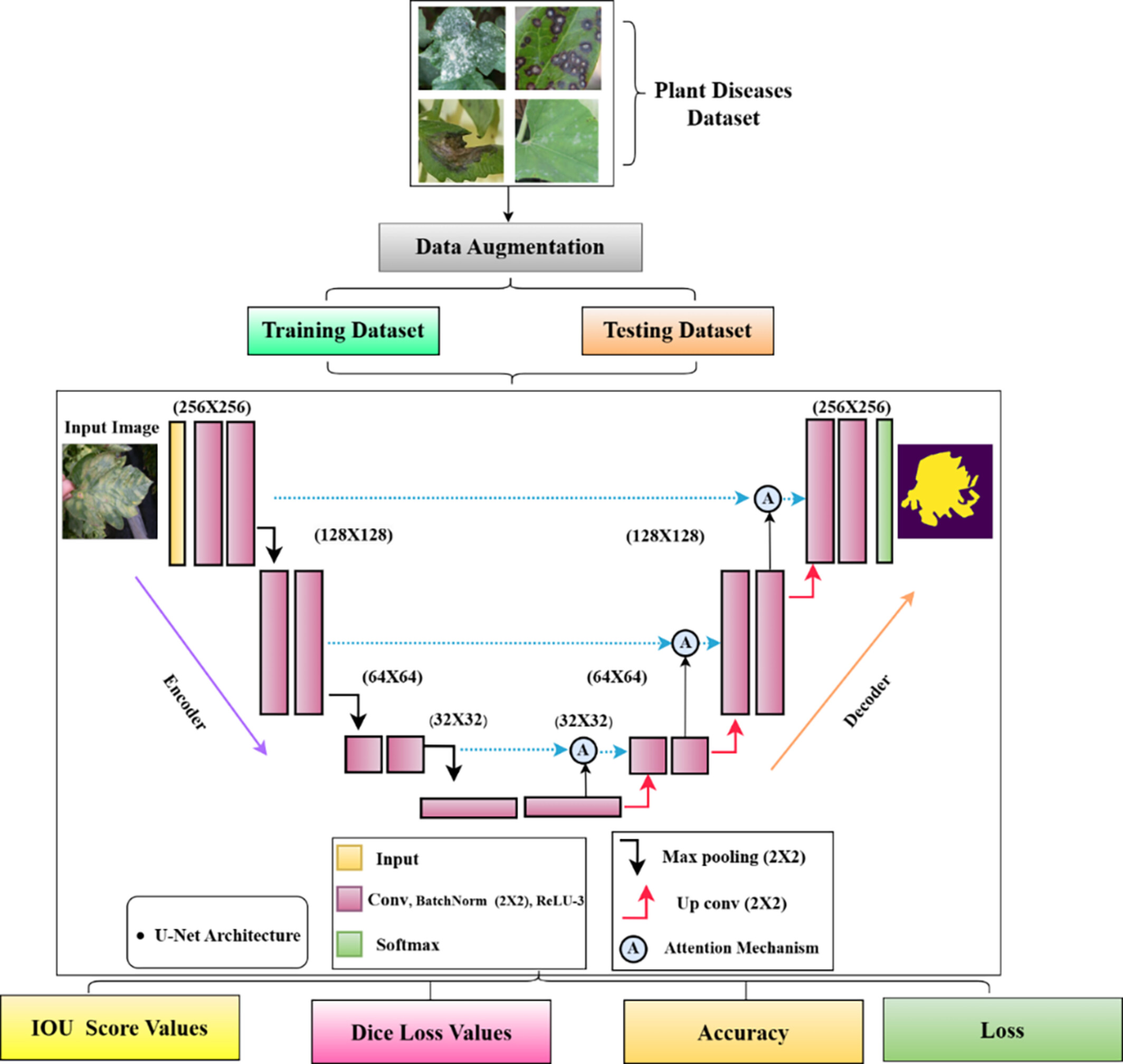 Enhanced Leaf Disease Segmentation Using U-Net Architecture for Precision Agriculture: A Deep Learning Approach