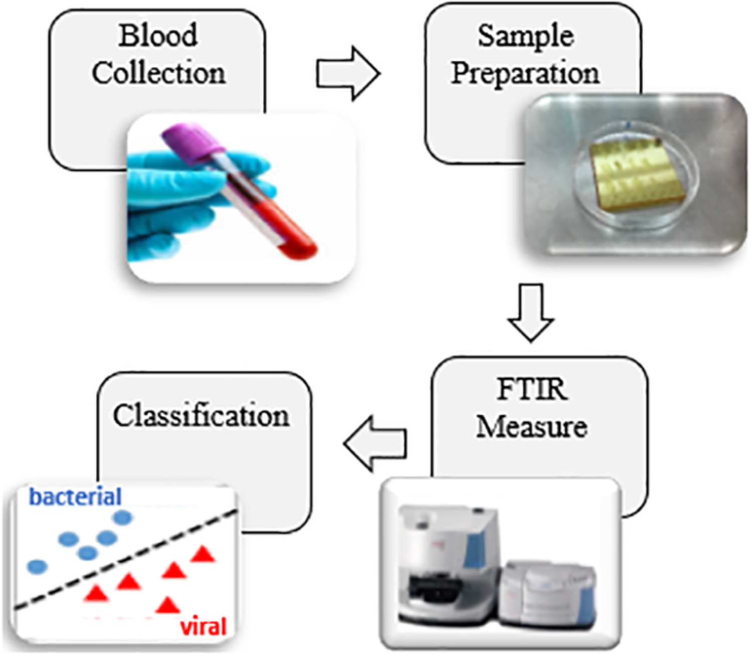 Rapid diagnosis of infection etiology in febrile pediatric oncology patients using infrared spectroscopy of leukocytes