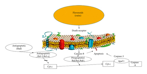 Details are in the caption following the image
