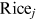 urn:x-wiley:28313224:media:ise313:ise313-math-0004