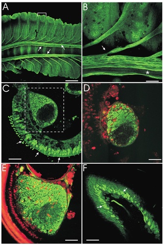 Details are in the caption following the image Details are in the caption following the image