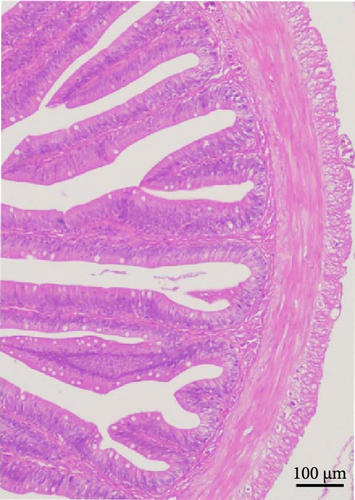 Details are in the caption following the image