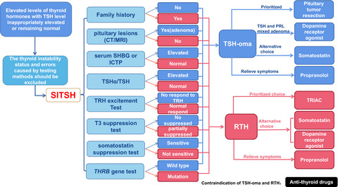 TSH adenoma and syndrome of resistance to thyroid hormones—Two cases report of syndrome of inappropriate secretion of thyrotropin