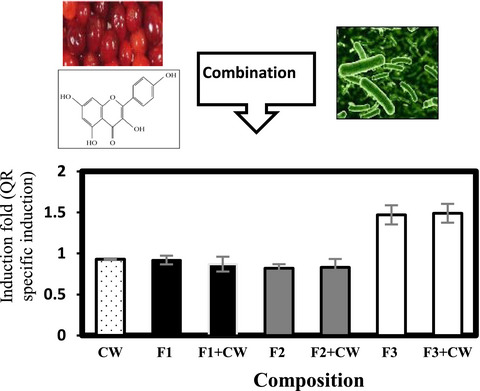 The synergistic effect of cell wall extracted from probiotic biomass containing Lactobacillus acidophilus CL1285, L. casei LBC80R, and L. rhamnosus CLR2 on the anticancer activity of cranberry juice—HPLC fractions