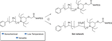 Sonochemical Nitroxide-Mediated Polymerization: Harnessing Sonochemistry for Polymer Synthesis