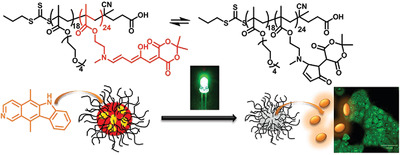 Visible Light—Responsive Drug Delivery Nanoparticle via Donor–Acceptor Stenhouse Adducts (DASA)