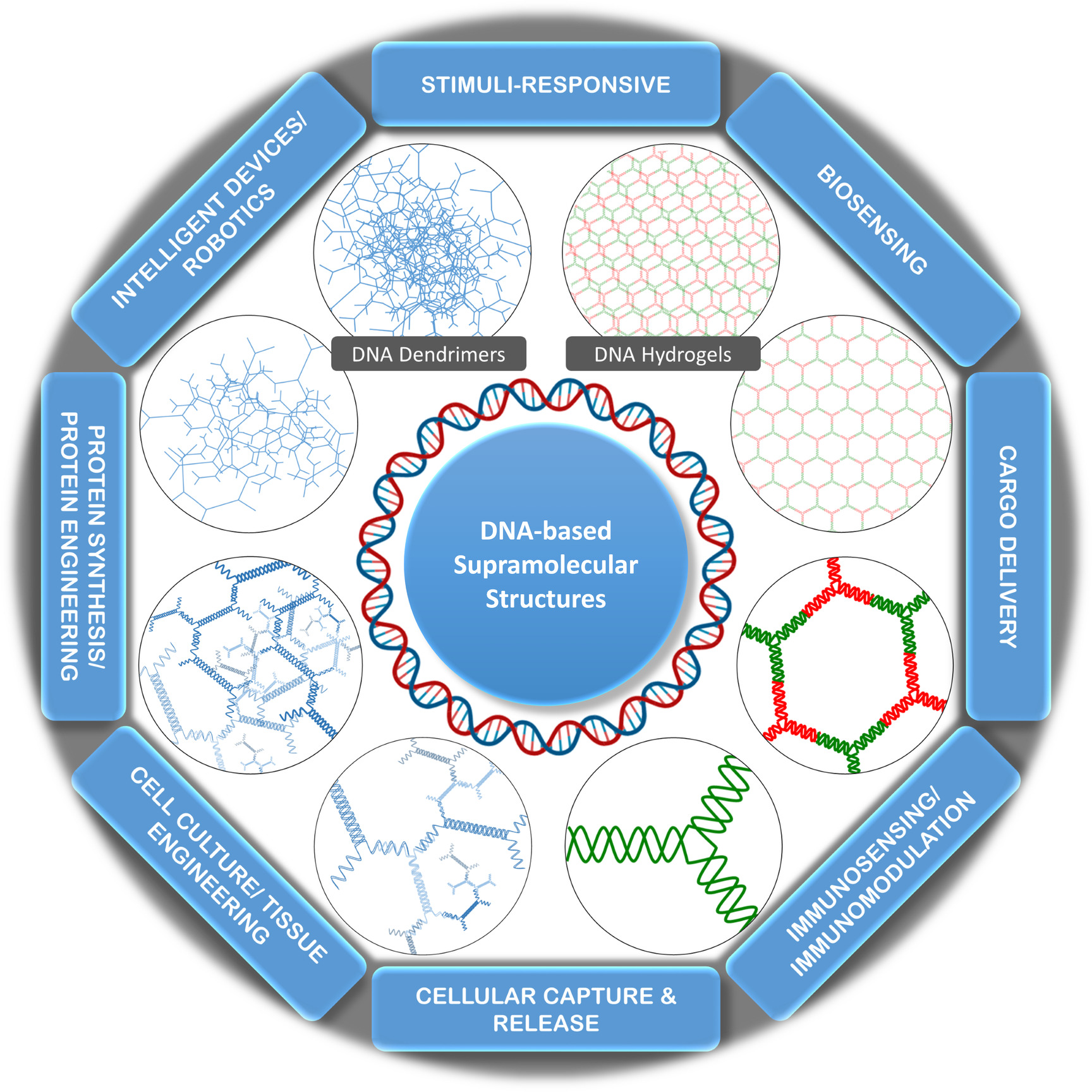 DNA Nanotechnology-Based Supramolecular Assemblies for Targeted Biomedical Applications
