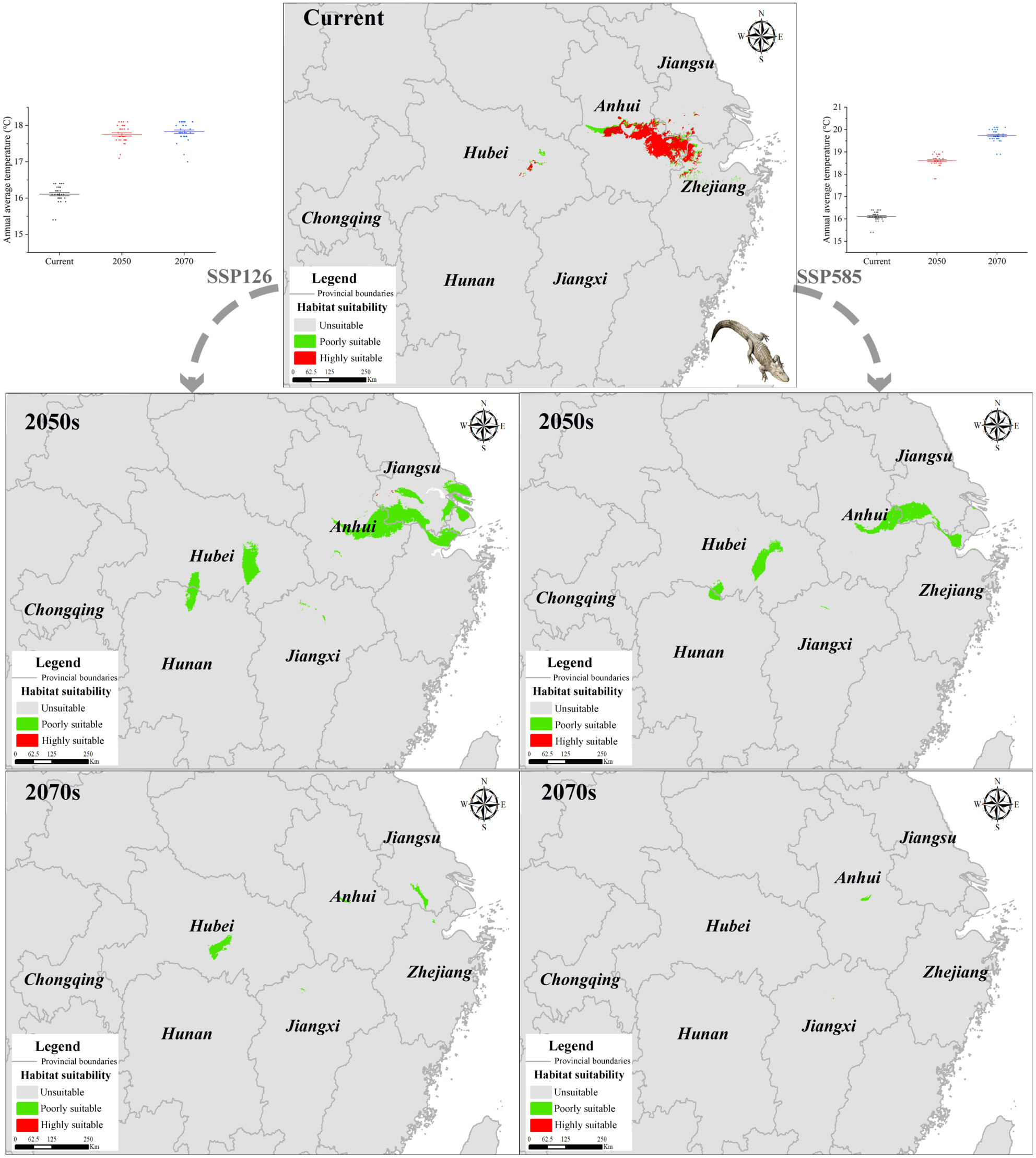 Identification of suitable habitats and priority conservation areas under climate change scenarios for the Chinese alligator (Alligator sinensis)